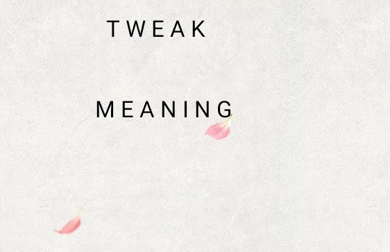 tweak meaning build vocabulary
